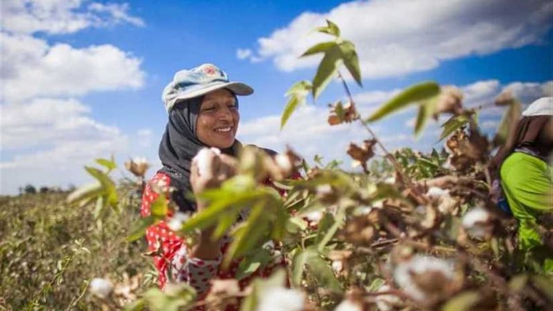 «بحوث الصحراء»: برامج