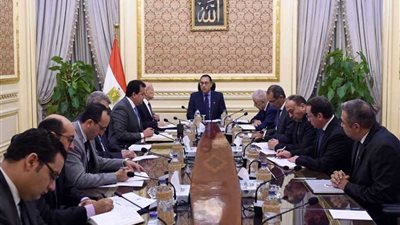 رئيس الوزراء يُتابع جهود توطين صناعة 