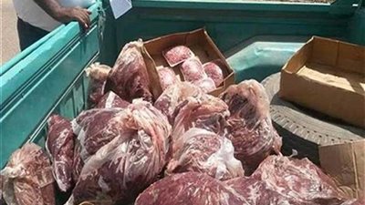 إعدام 19 كيلو لحوم فاسدة خلال حملة بالدقهلية‎