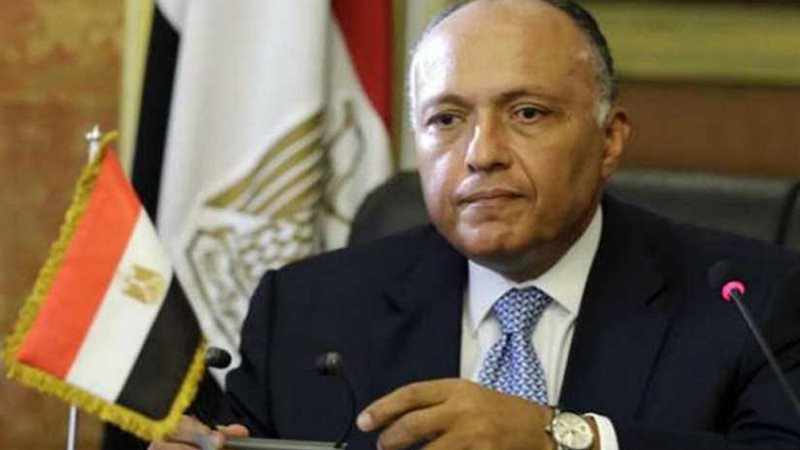 وزير الخارجية يلتقى