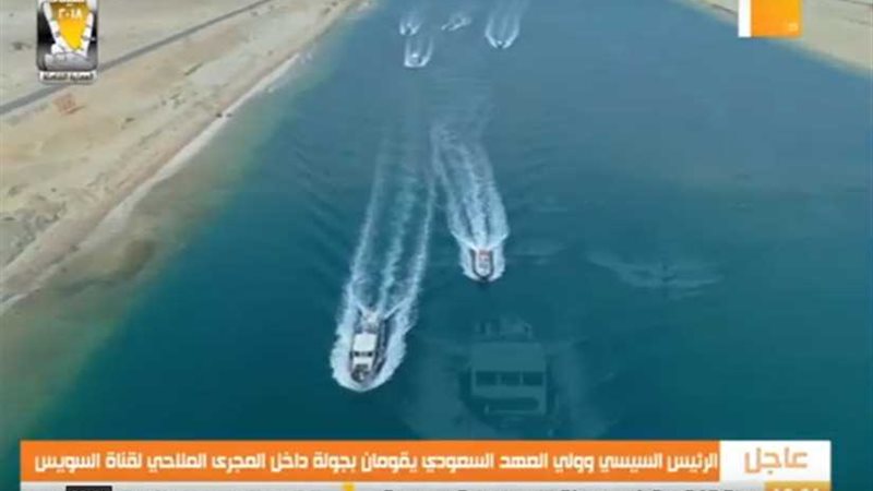 ​السيسي وبن سلمان