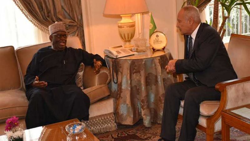 أبو الغيط يؤكد أهمية