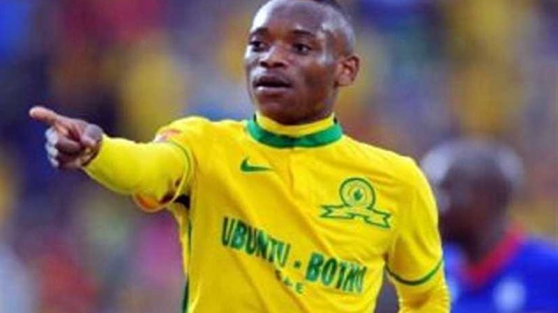 بالتفاصيل.. خاما