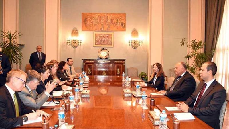 وزير الخارجية يلتقي