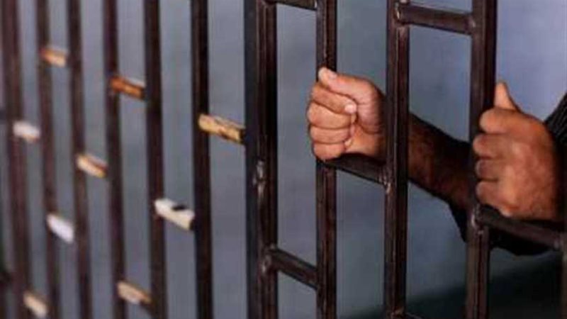 حبس ذئب كفر الغاب