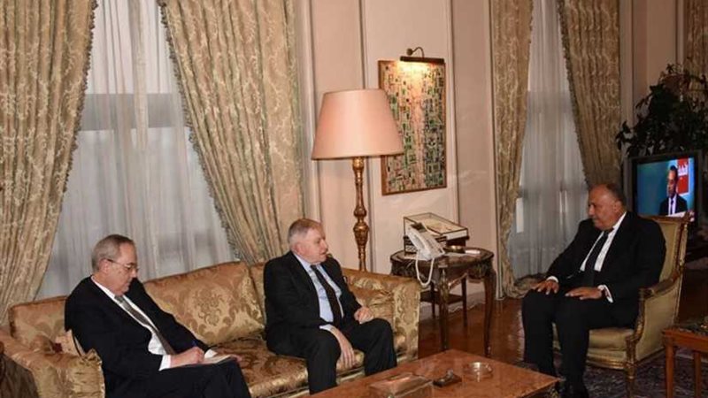 شكري يستقبل الوفد