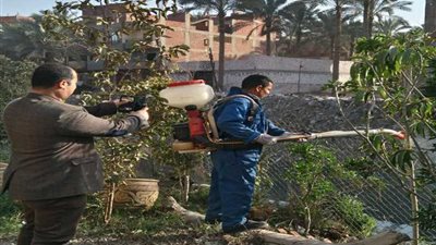 القليوبية: حملة شاملة لمواجهة الناموس بالمحافظة