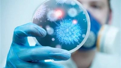 ولكم في تجربة 