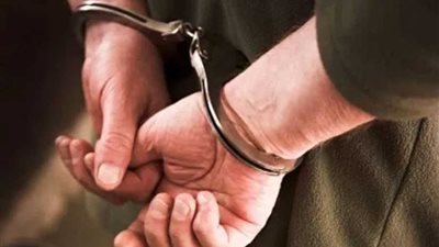 البحيرة.. ضبط تشكيل عصابي تخصص 