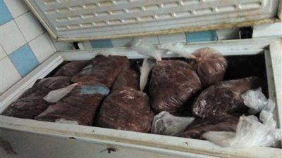 ضبط لحوم فاسدة بالزاوية الحمراء (صور)