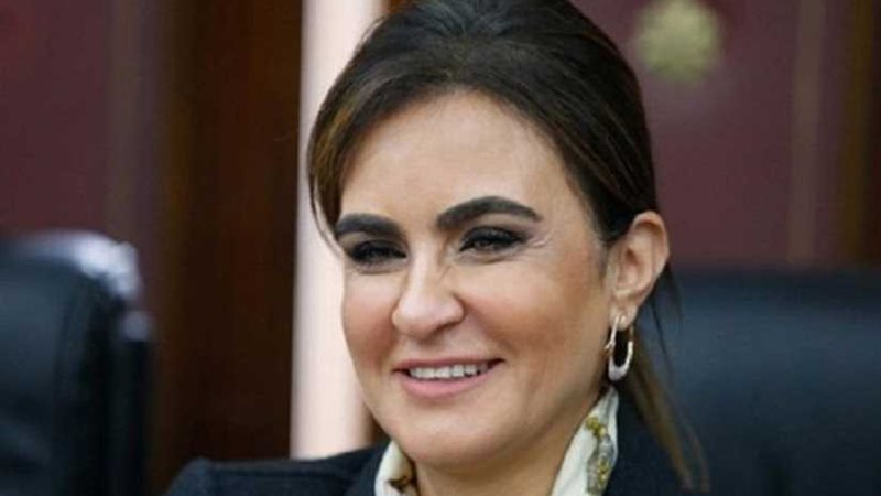 وزيرة الاستثمار: