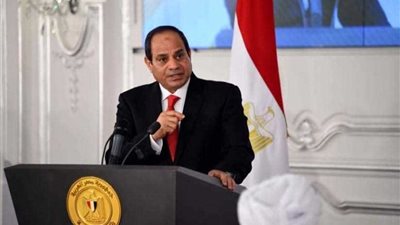 لقاءات جماهيرية بالجالية المصرية في جدة لدعم السيسي