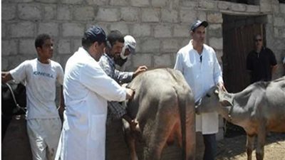 قوافل علاجية بيطرية بالبحيرة