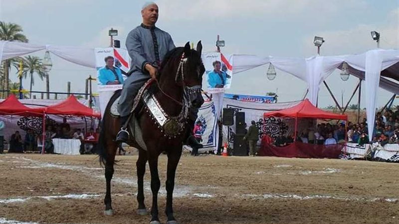 الفروسية والجمال