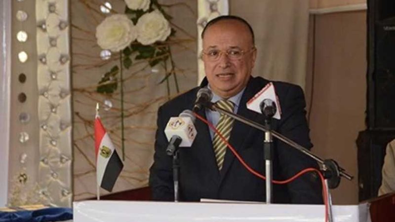 منسق حملة السيسي