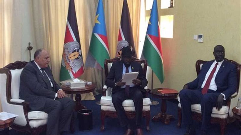 مصر تدعم جهود جنوب