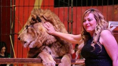 ​​السيرك المصري الأوروبي بالسويس