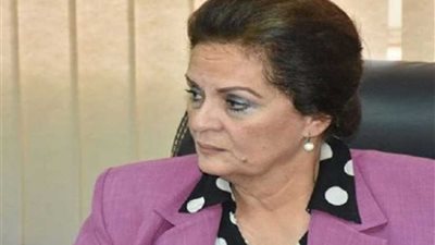 محافظ البحيرة ووفد صيني يتفقدان المنطقة الصناعية بـ