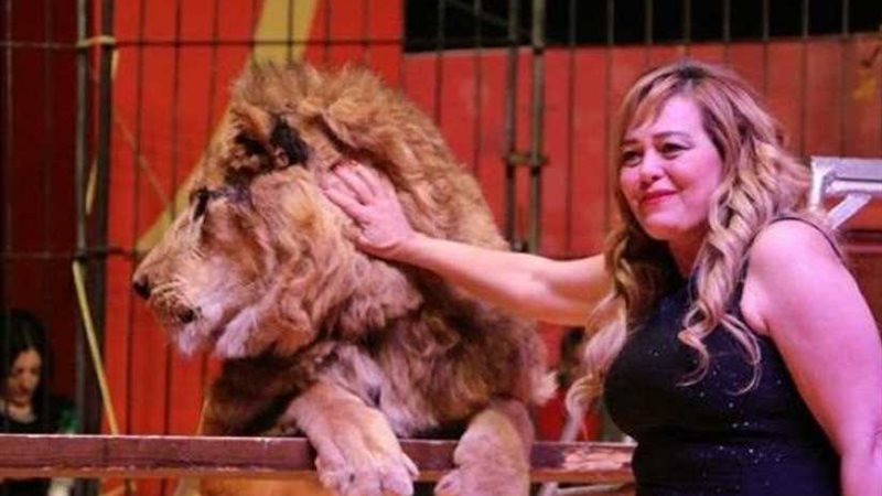 ​​السيرك المصري الأوروبي