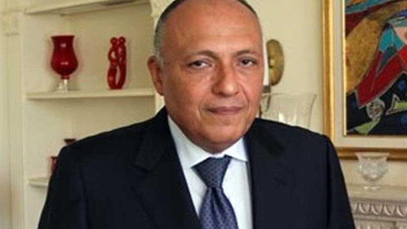 شكري يغادر إلى إيطاليا