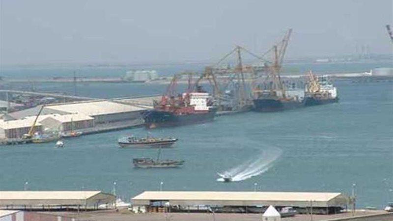 وصول 1046 رأس ماشية