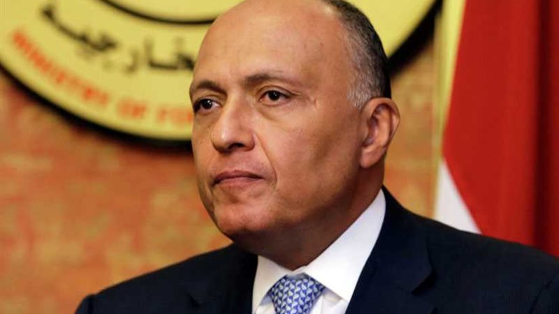 وزير الخارجية يستعرض