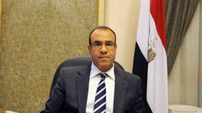 سفيرنا بألمانيا: توفير وسائل مواصلات لنقل الناخبين للجان (فيديو)