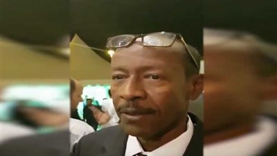 رئيس رابطة أبناء النوبة بالسعودية: مشاركة المصريين بالانتخابات فاقت الوصف