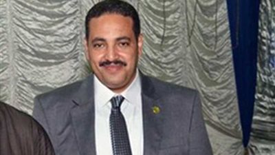 برلماني: كثافة التصويت في الخارج تثبت أصالة الشعب