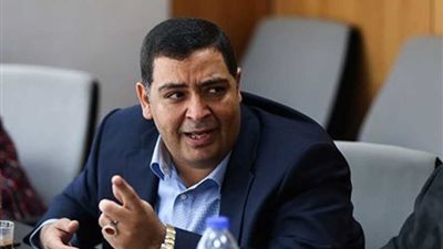 دعم مصر: المصريون بالخارج أعطوا درسًا للعالم في الوطنية