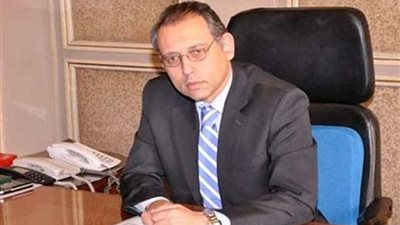 سفير مصر بلبنان: توافد الناخبين 