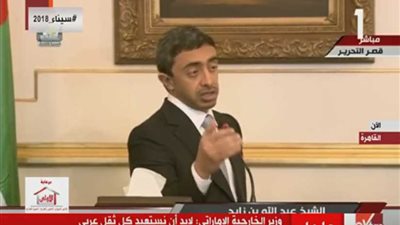 عبد الله بن زايد: قطر إحدى منصات الإرهاب 