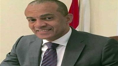 سفيرمصر في موريتانيا: 