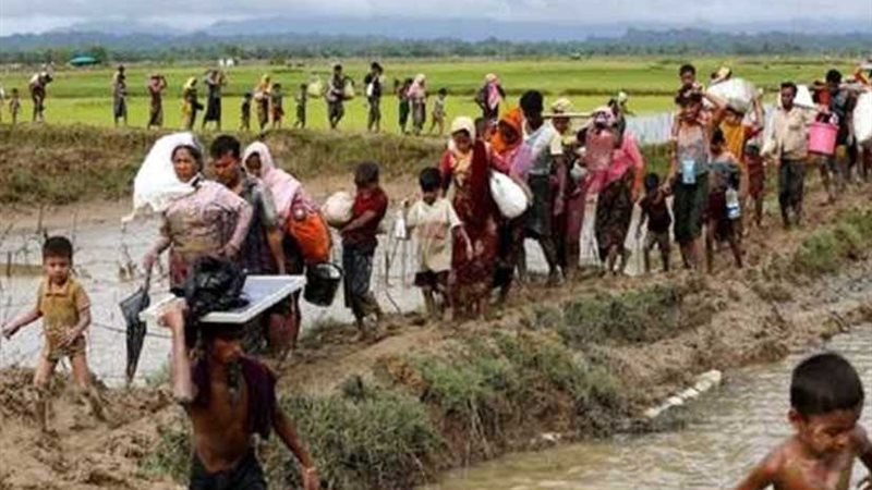 الأمم المتحدة ومنظمات