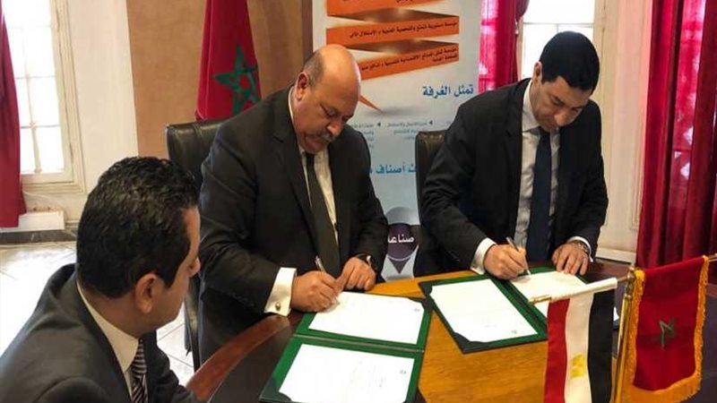 تعاون مصري مغربي