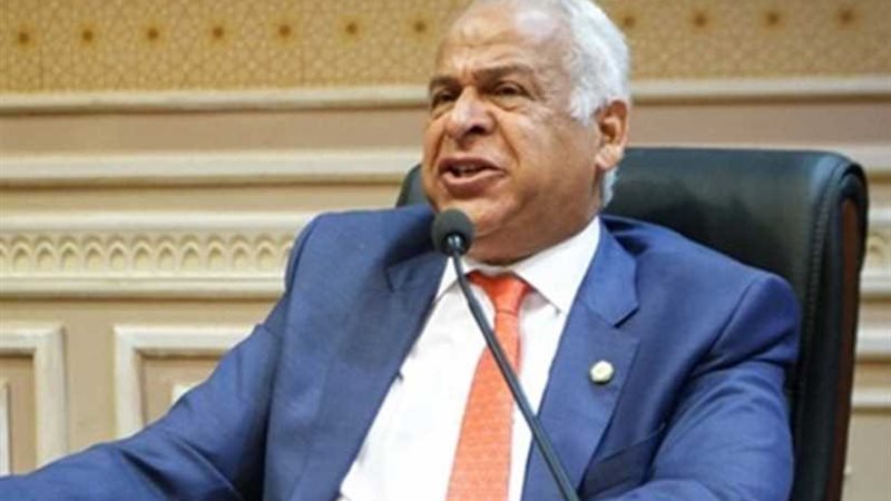 فرج عامر: البرلمان