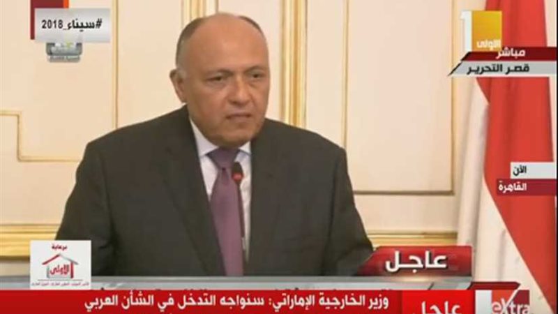 وزير الخارجية: مصر