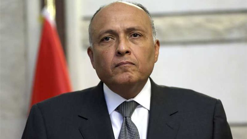 سامح شكري لنظيره