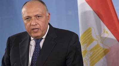 مصر تدين احتلال تركيا لـ