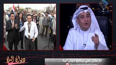 محمد العلا: المصريين رفعوا شعار جنودنا في الميدان ونحن في اللجان (فيديو)