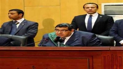 المشدد 10سنوات لـ13 متهمًا والمؤبد لـ 9 آخرين فى اللجان النوعية الإخوانية