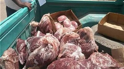 ضبط 20 طن لحوم ودواجن فاسدة بالخانكة