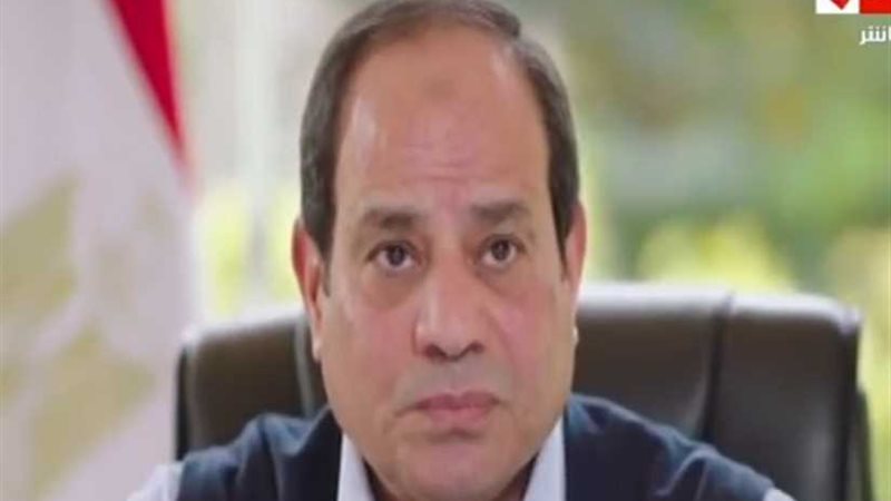 السيسي: طلب التفويض