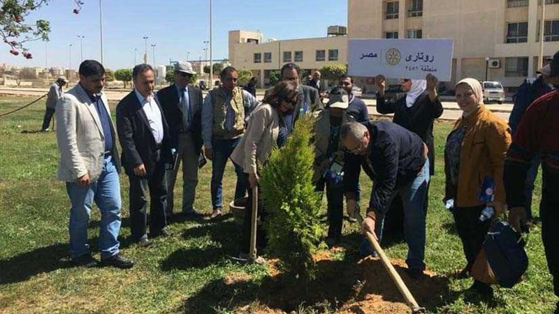 زراعة 600 شجرة مثمرة