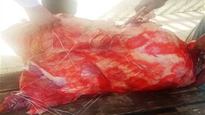 تموين سوهاج :ضبط 52 كيلو جرام لحوم فاسده داخل المستشفى التعليمى