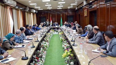 محافظ الدقهلية يناقش تنفيذ منظومة كاميرات المراقبة