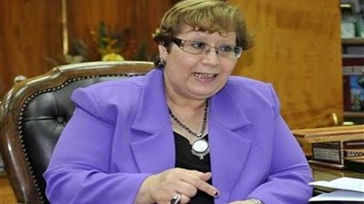 عميد إعلام الأسبق: المصريون سيثبتون للدنيا كلها عشقهم لوطنهم