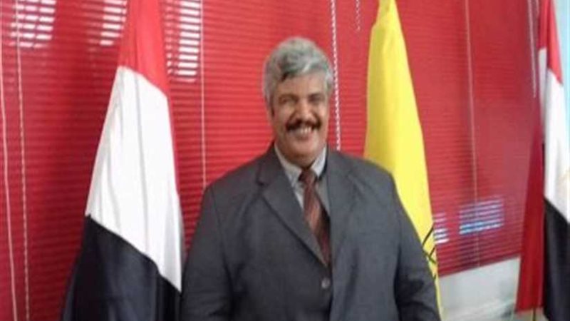 محاكاة الانتخابات