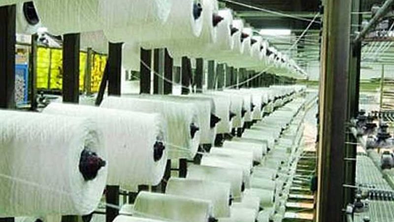 خبير: مستقبل مزهر