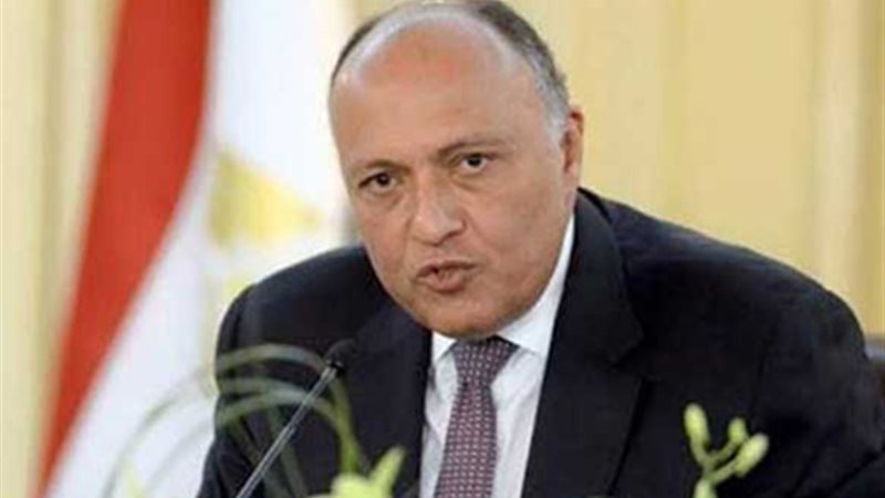 وزير الخارجية: دعوة